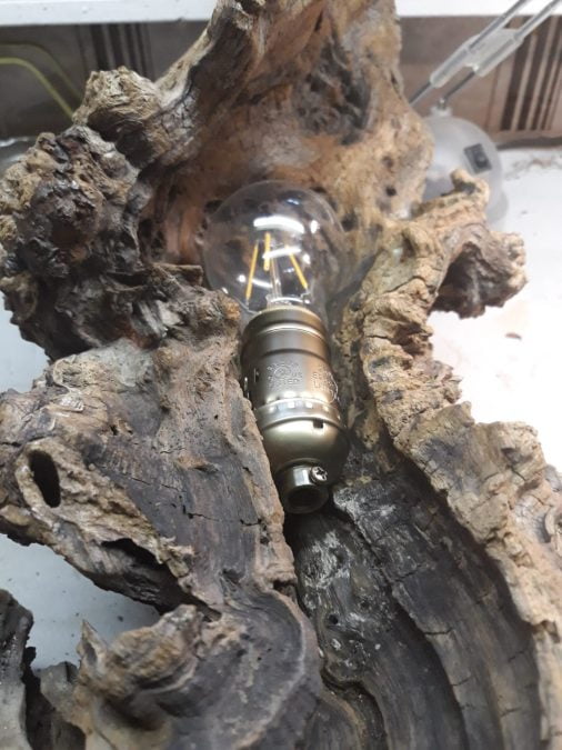 A root lamp with a wood coming from my homeland: choosing a good sized vintage bulb