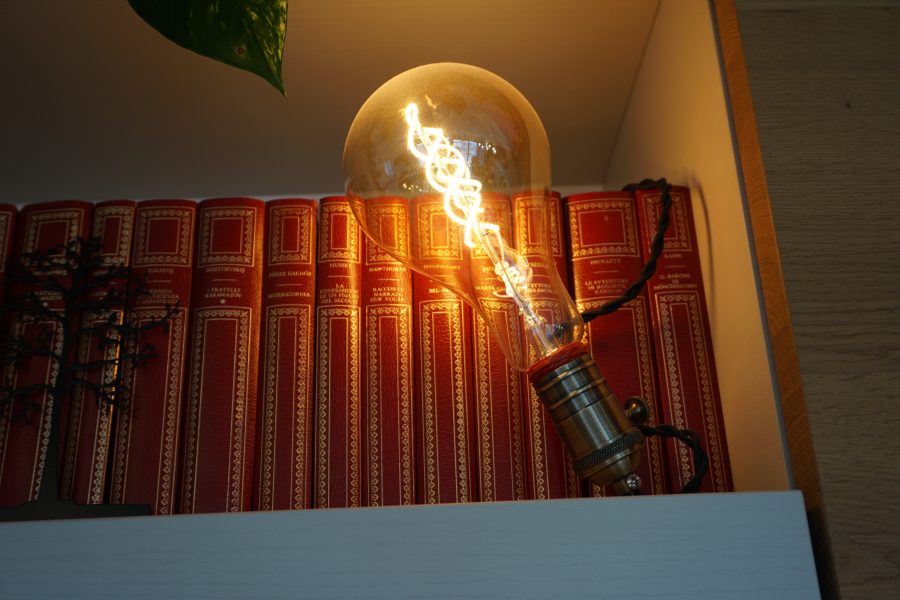 Book lamp for bookshelf