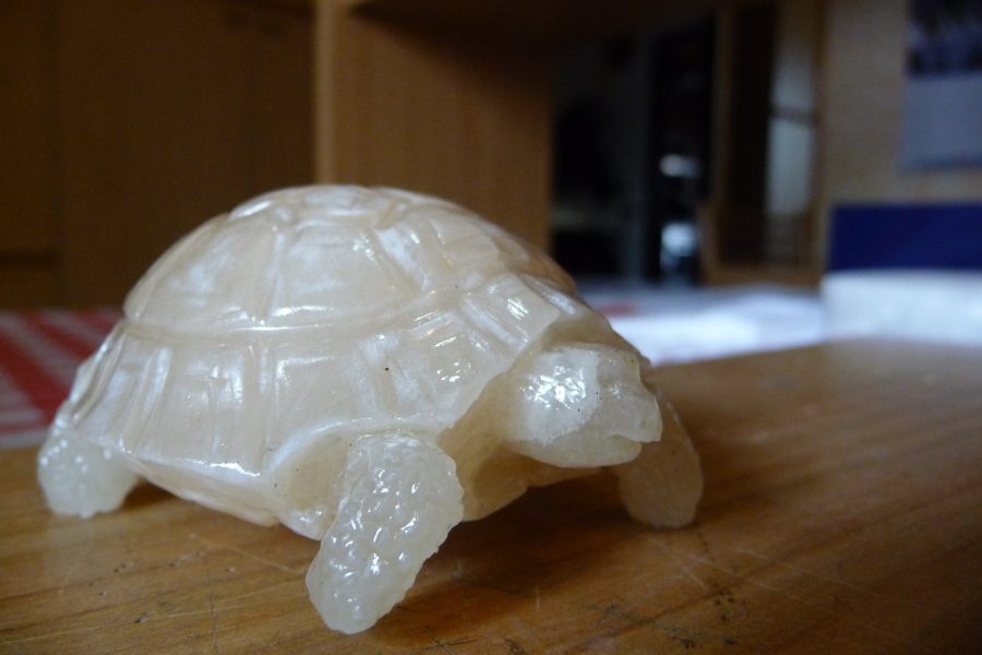 Alabaster tortoise