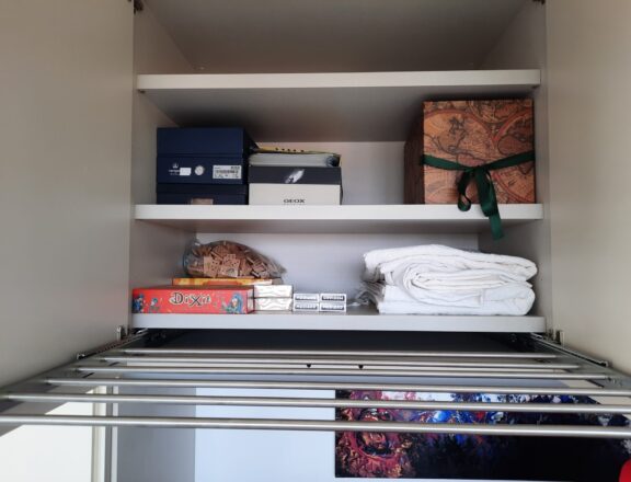 Steel extractable clothes hanger for wardrobe
