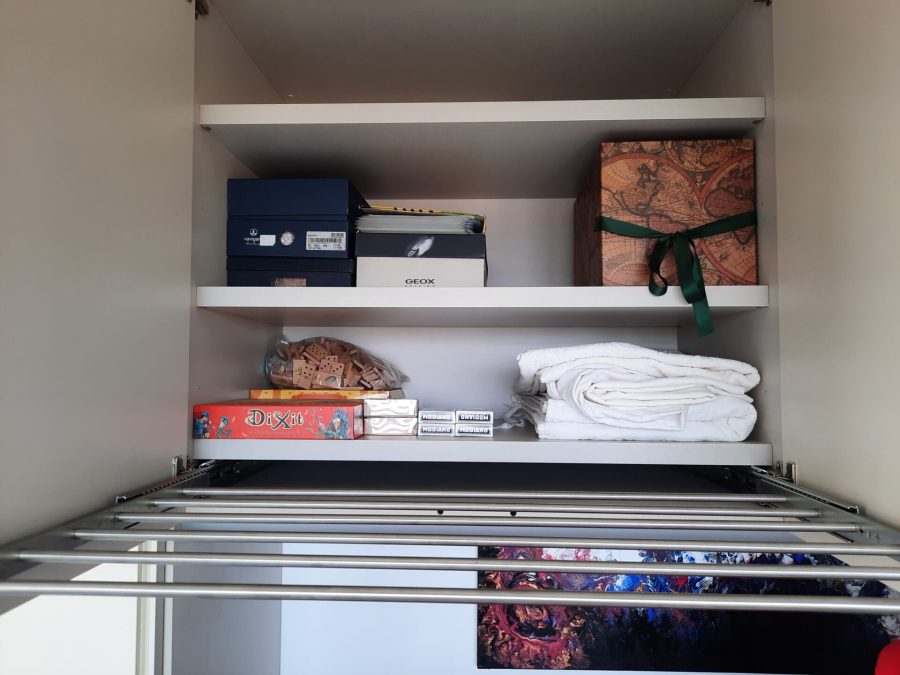 Steel extractable clothes hanger for wardrobe
