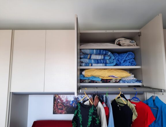 Steel extractable clothes hanger for wardrobe