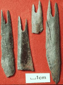 Lucets from Coppergate (York, UK), 9th-11th century