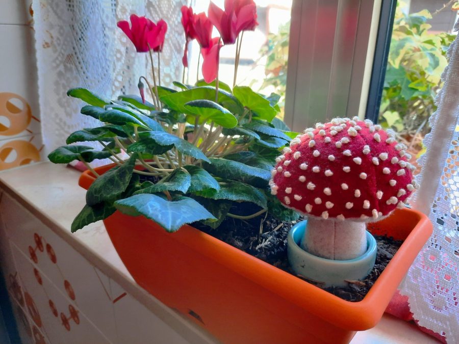 Mushroom plush to decorate a flower pot