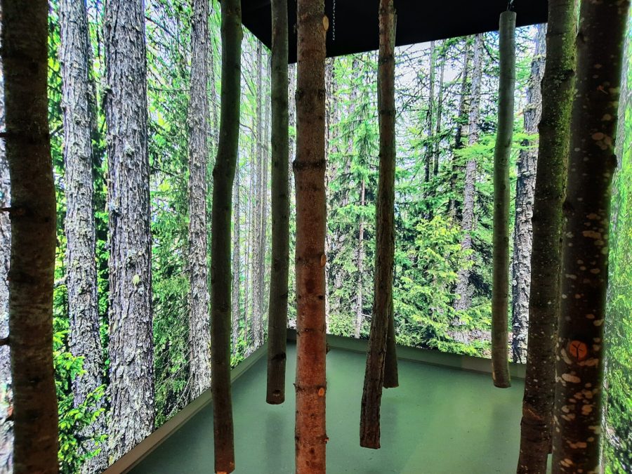 MAV - Museo dell'Artigianato Valdostano di tradizione: the game about recognising wood qualities