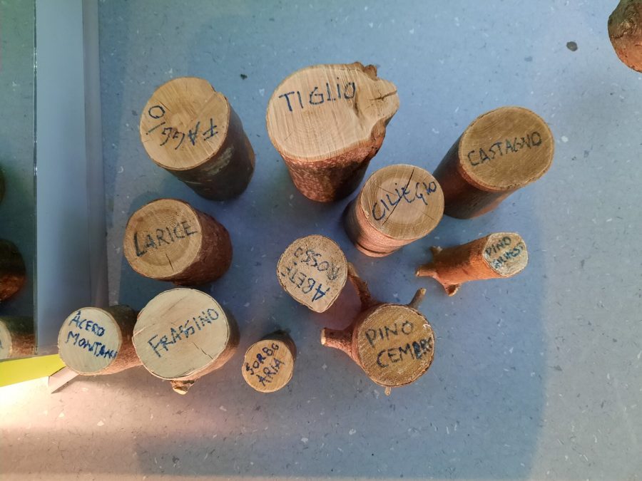 MAV - Museo dell'Artigianato Valdostano di tradizione: the game about recognising wood qualities