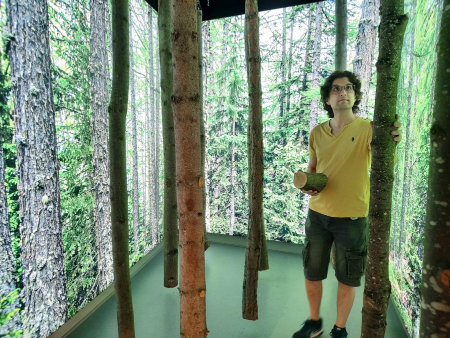 MAV - Museo dell'Artigianato Valdostano di tradizione: the game about recognising wood qualities