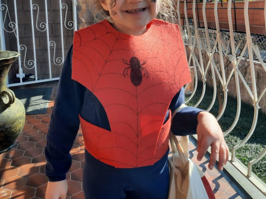 Spiderman costume, the front