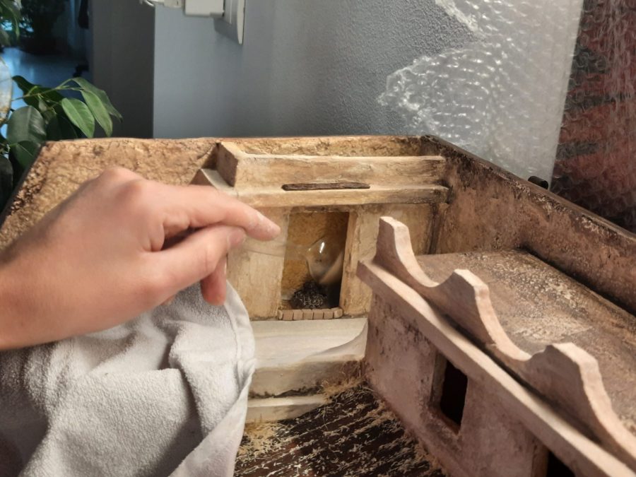 Making a Nativity diorama inside an antique steamer trunk: crafting an indoor pavement