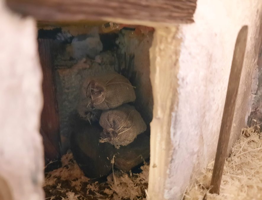 Making a Nativity diorama inside an antique steamer trunk: the humble storage room behind the holy manger